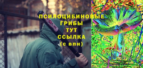 МДПВ Нефтегорск