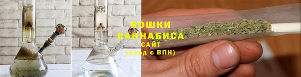 МДПВ Нефтегорск