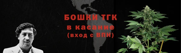 спиды Новодвинск