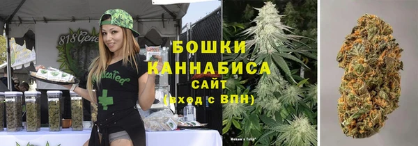 спиды Новодвинск