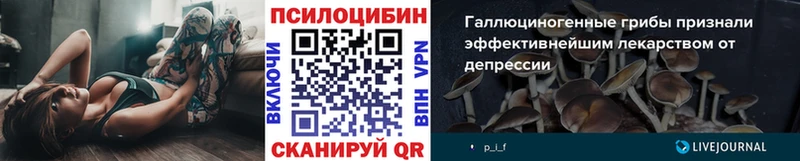 закладка  Миньяр  Галлюциногенные грибы Psilocybe 